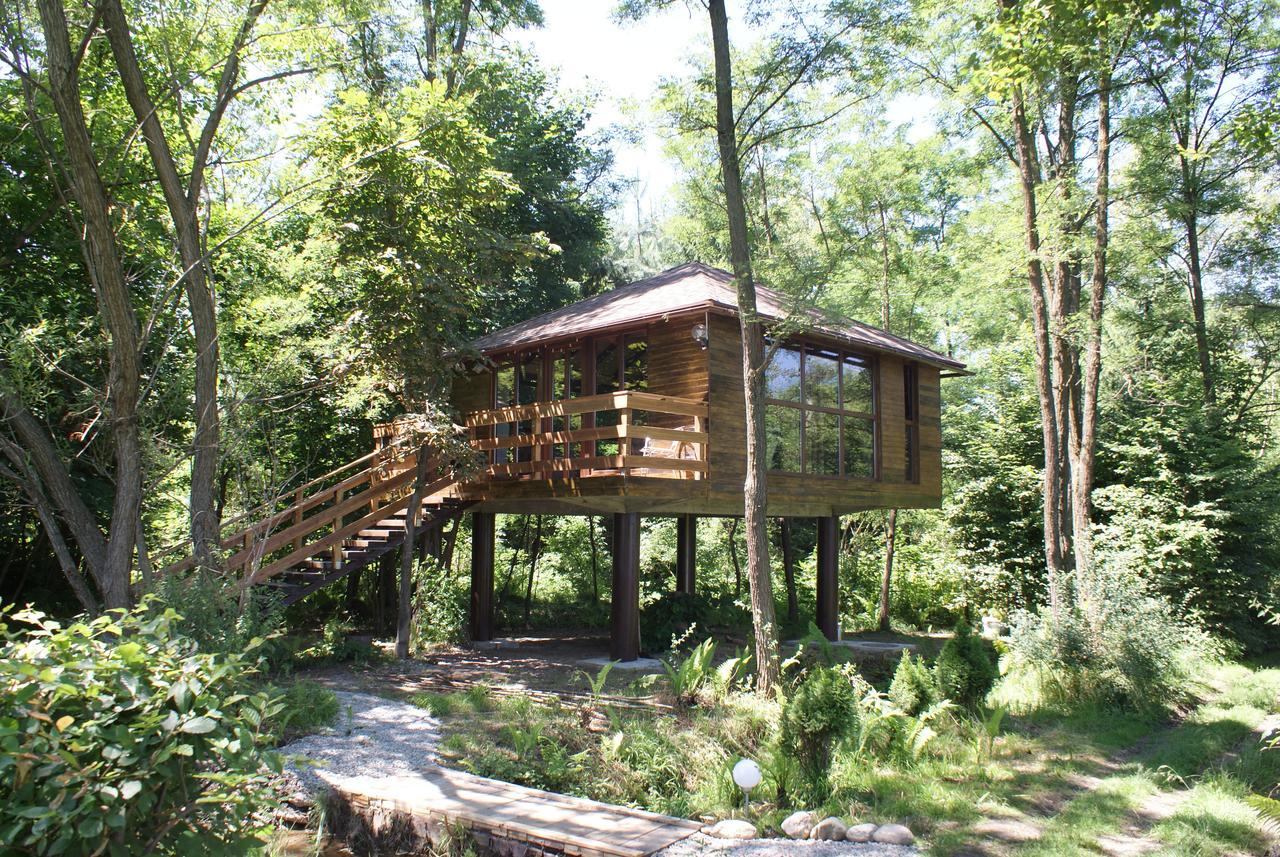 Вилла Porumbacu Treehouse Порумбаку-де-Сус Экстерьер фото